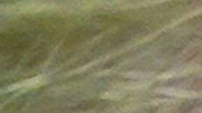 El error tipográfico ha despertado todo tipo de burlas