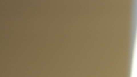 El presidente Trump destacó el nuevo acuerdo comercial con Canadá y México.