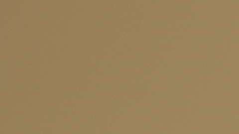 El presidente Trump presumió que no bebe alcohol.