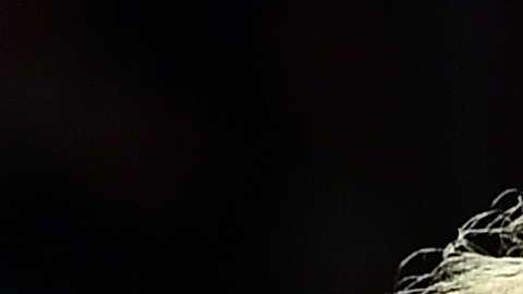 Por su parte Trump dijo que a las mujeres les  va genial