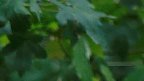 Kate Middleton/Getty Images