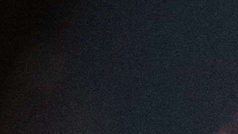 Las burlas sobre el comentario de Trump no se hicieron esperar