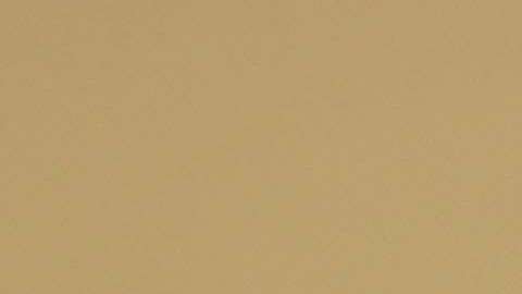 El presidente Trump rechaza recibir a inmigrantes hondureños.