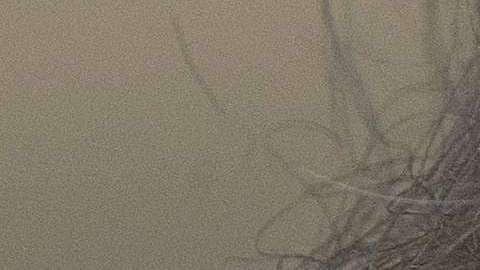 "Columbus Day" es para muchos la celebración el genocidio indígena en el continente americano