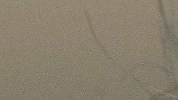 Donald Trump, el pesidente de los Estados Unidos