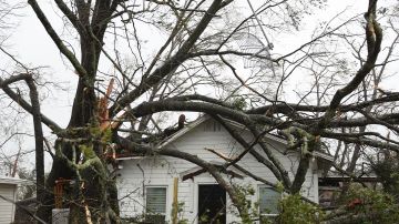 Un árbol desgajado sobre una casa en Panama City, Florida.
