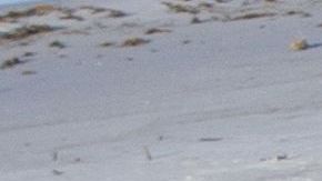 Escombros de casa y negocios en Mexico Beach, Florida.
