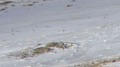 Escombros de casa y negocios en Mexico Beach, Florida.