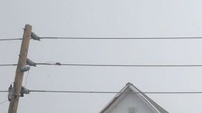 Hay ciudades que son menos propensas a una catástrofe.