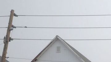 Hay ciudades que son menos propensas a una catástrofe.