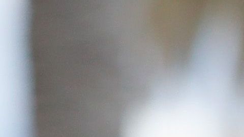 The Duke And Duchess Of Sussex Visit Australia - Day 3