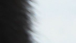 Autoridades acusan a los inmigrantes de entrar a México a la fuerza