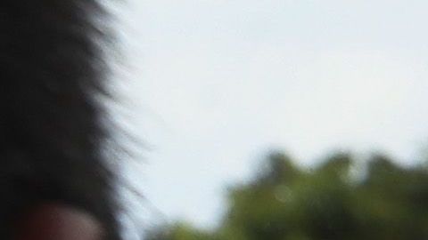 Autoridades acusan a los inmigrantes de entrar a México a la fuerza