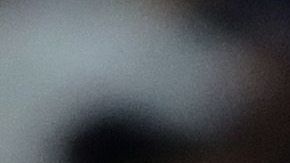 Boston celebró en el Yankee Stadium.