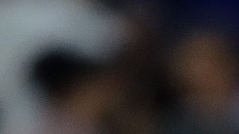 Boston celebró en el Yankee Stadium.