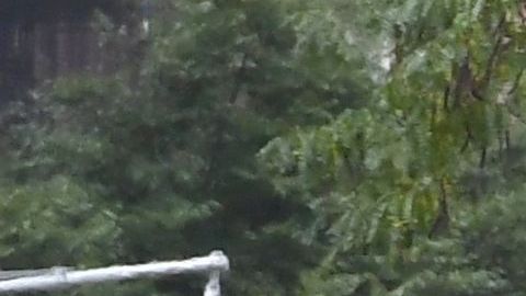 Elementos del NYPD mantienen fuerte vigilancia en torno al Columbus Circle.