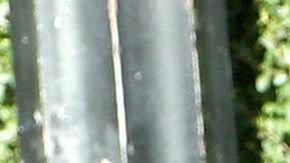 Maria Celeste Arrarás junto a Myrka Dellanos.