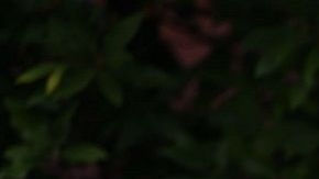 Varios líderes de la comunidad judía en Pittsburgh rechazan la visita del presidente Trump.