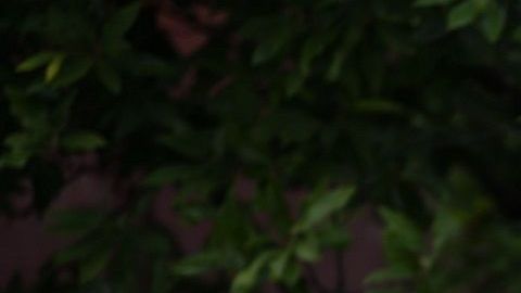 Varios líderes de la comunidad judía en Pittsburgh rechazan la visita del presidente Trump.