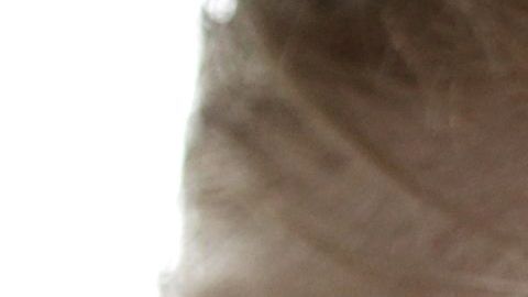 El presidente Trump ha cumplido gran parte de sus promesas.