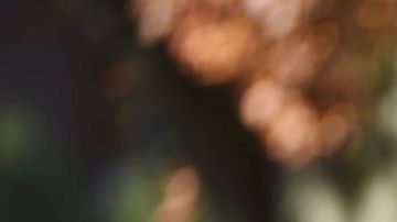 El presidente planea llegar a Pittsburgh la tarde de este martes.