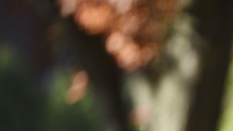 El presidente planea llegar a Pittsburgh la tarde de este martes.