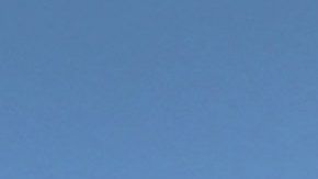 La falta de coordinación entre autoridades estatales y federales es parte del problema