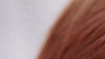 Children''s health in El Paso, Texas.