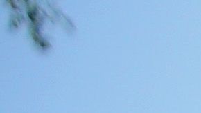 Culminan celebraciones por el Mes de la Herencia Hispana.