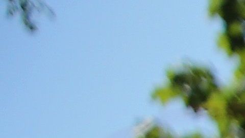 Culminan celebraciones por el Mes de la Herencia Hispana.