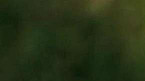 La violencia en Chicago ha disminuido por trece meses consecutivos