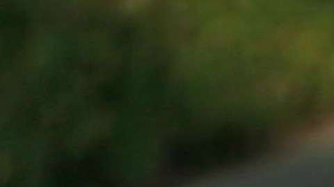 La violencia en Chicago ha disminuido por trece meses consecutivos