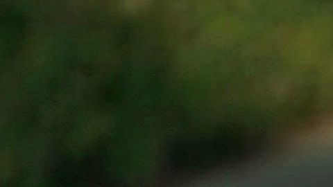 Trump ha dicho que Tiffany es la que menos orgulloso lo hace como padre