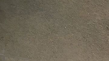 En la imagen aparecen:  Kylie Jenner, Lil' Kim, Kanye West, ASAP Rocky, Kendall Jenner y Kourtney Kardashian.