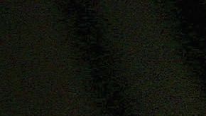 En 2005 se registraron los primeros grupos de vigilantes civiles en la frontera con México.