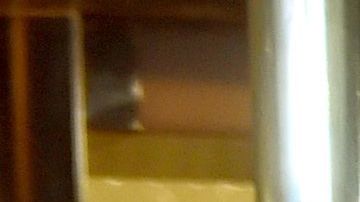 La demanda menciona al presidente Trump y a sus tres hijos mayores.