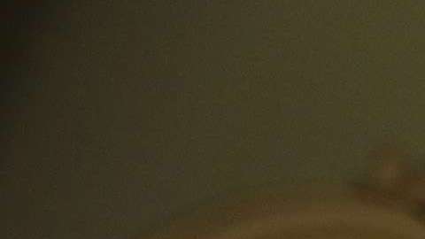 Mitch McConnell restó importancia a las acusaciones de abuso sexual que pesan en contra de Kavanaugh