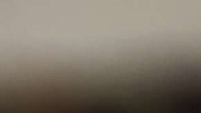 El dólar ha logrado avanzar respecto a la moneda mexicana.