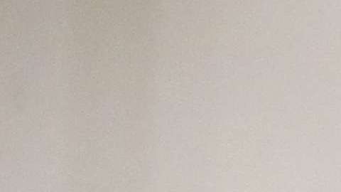 El presidente Trump ha dicho sólo recibió $1 millón de su padre.