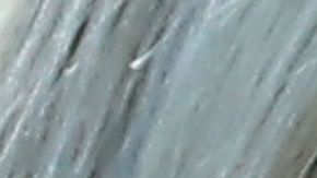 Ivanka Trump es criticada por su doble discurso sobre la equidad.