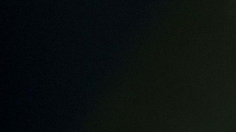 La Patrulla Fronteriza ayudó a la guatemalteca a que diera a luz.