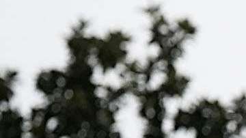 El presidente Trump critica los cuestionamientos hacia el juez Kavanaugh.