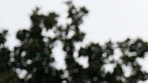 El presidente Trump critica los cuestionamientos hacia el juez Kavanaugh.