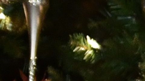 La archirrival de Trump en 2016 sería presa facial para el presidente en 2020