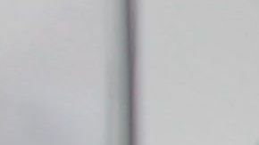 El dominicano compró una tarjeta de seguro social, licencia de conducción y certificado de nacimiento