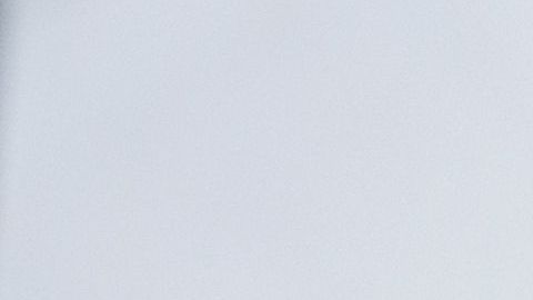 Activistas han realizado mítines a favor del TPS.