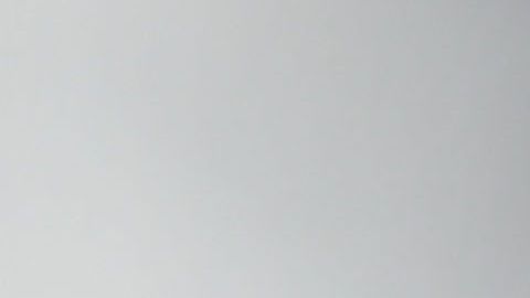 Los abogados del presidente luchan en contra de un juicio