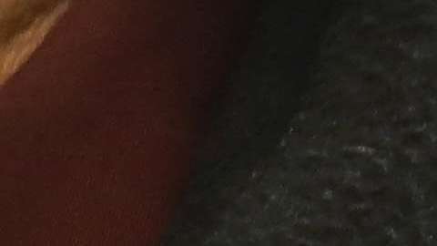 Nuevos requerimientos migratorios serían los responsables