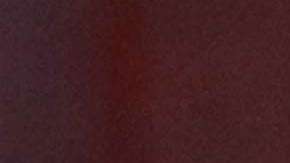 Ghana fue el punto de partida para la Primera Dama