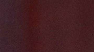 Ghana fue el punto de partida para la Primera Dama